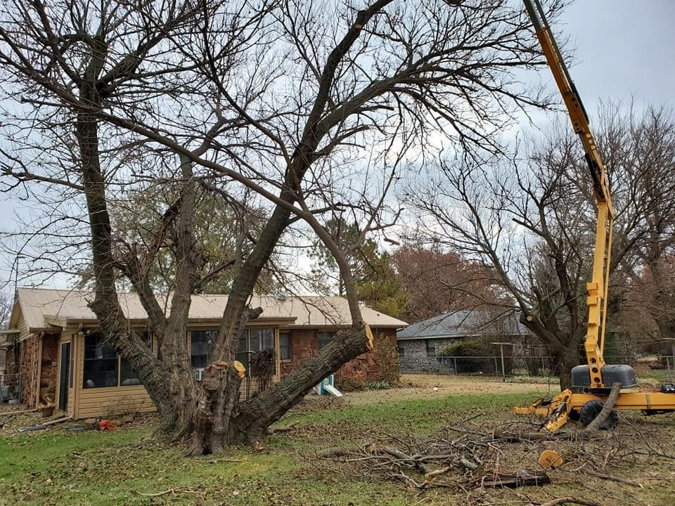 A tree being trimmed next to a house by a yellow tree-trimming machine on a cloudy day.