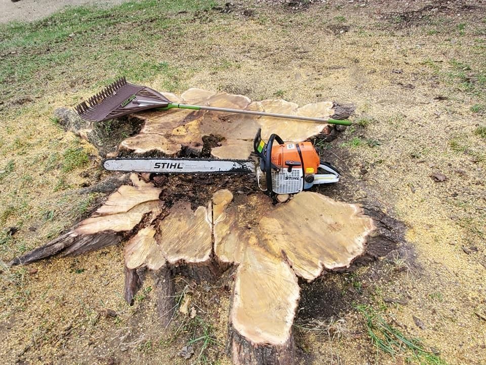Chainsaw on a tree stump with wood shavings. A rake lies across the stump on green grass.
