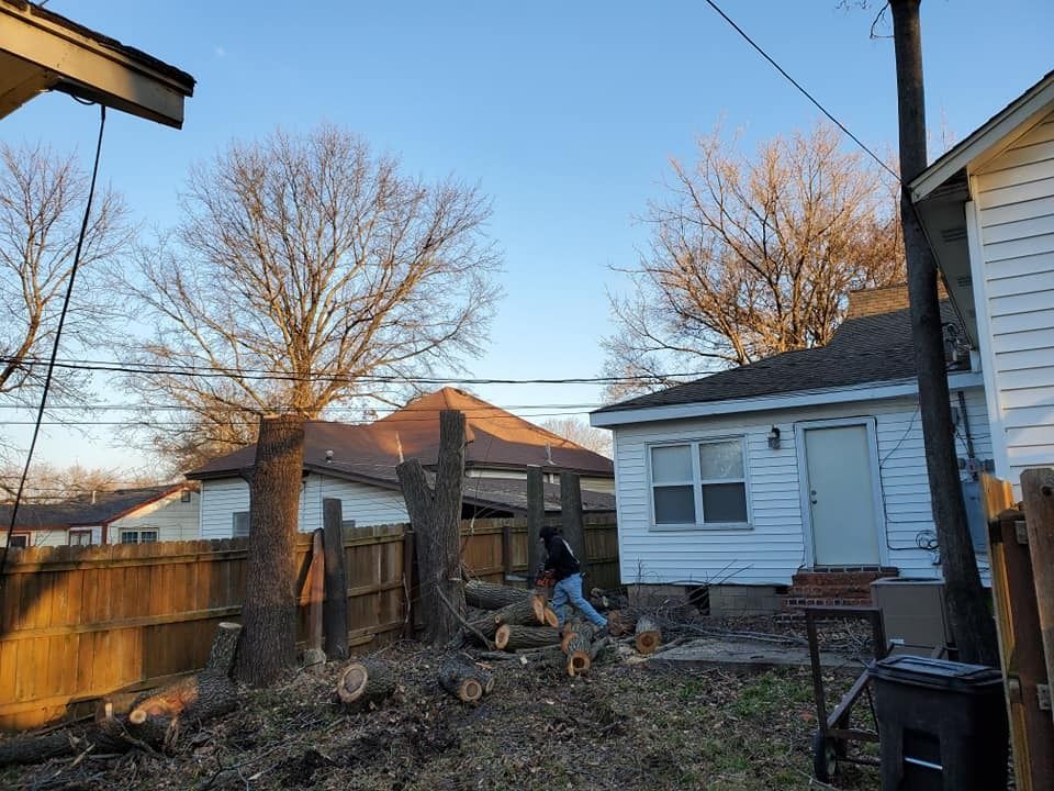 Person using a chainsaw to cut a tree in a backyard with houses and a fence.
