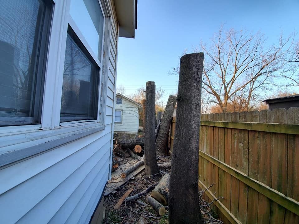Tree trunks and debris next to a house and fence, remnants of recently felled trees under a blue sky.