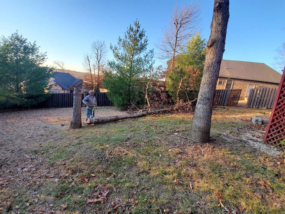 Person using a chainsaw to cut a fallen tree in a backyard with a fence and houses.