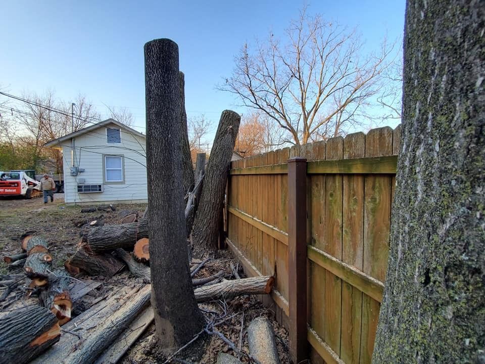 Cut tree trunks leaning against a wooden fence. Logs and debris on the ground near a house and trees.