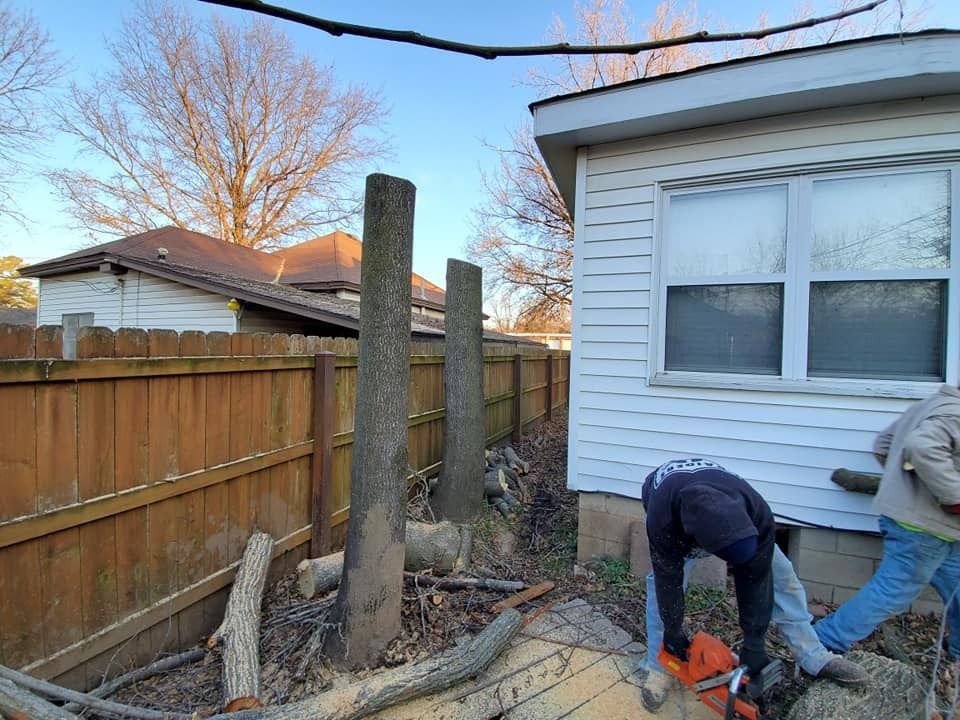 Two tree stumps next to a wooden fence and a house. Two people use a chainsaw to cut wood.