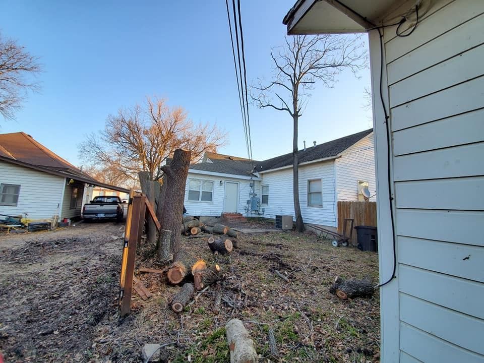 Backyard with cut tree, logs, and debris. Houses on either side. Overcast sky.