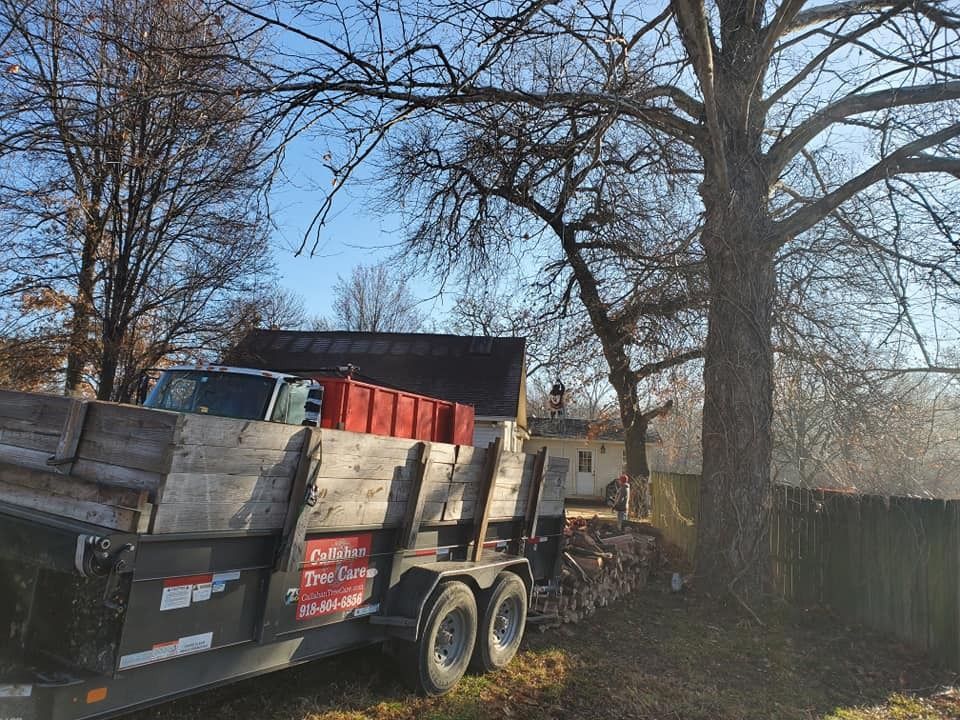 Trailer loaded with debris parked in front of a house, beneath a leafless tree on a sunny day.