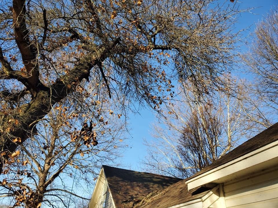 Branches of a bare tree against a blue sky, partially obscuring a house's roof.