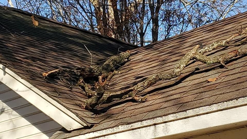 Branches and debris on a dark, angled roof; white siding below, trees in the background.