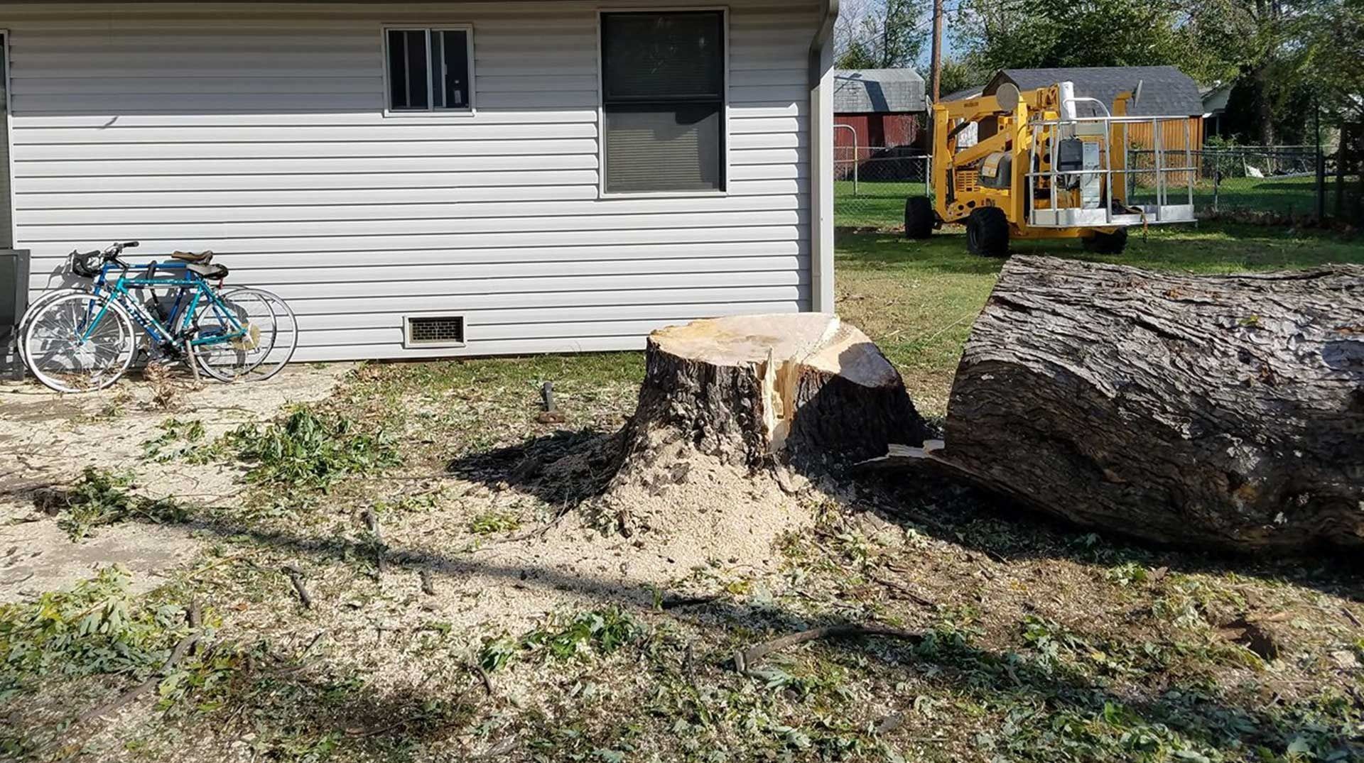 Tree stump next to a fallen log; a bicycle and a lift in the background near a white house.