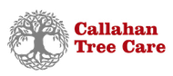 Logo for Callahan Tree Care: gray tree graphic, red text on a white background.