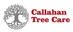 Logo for Callahan Tree Care: gray tree graphic, red text on a white background.