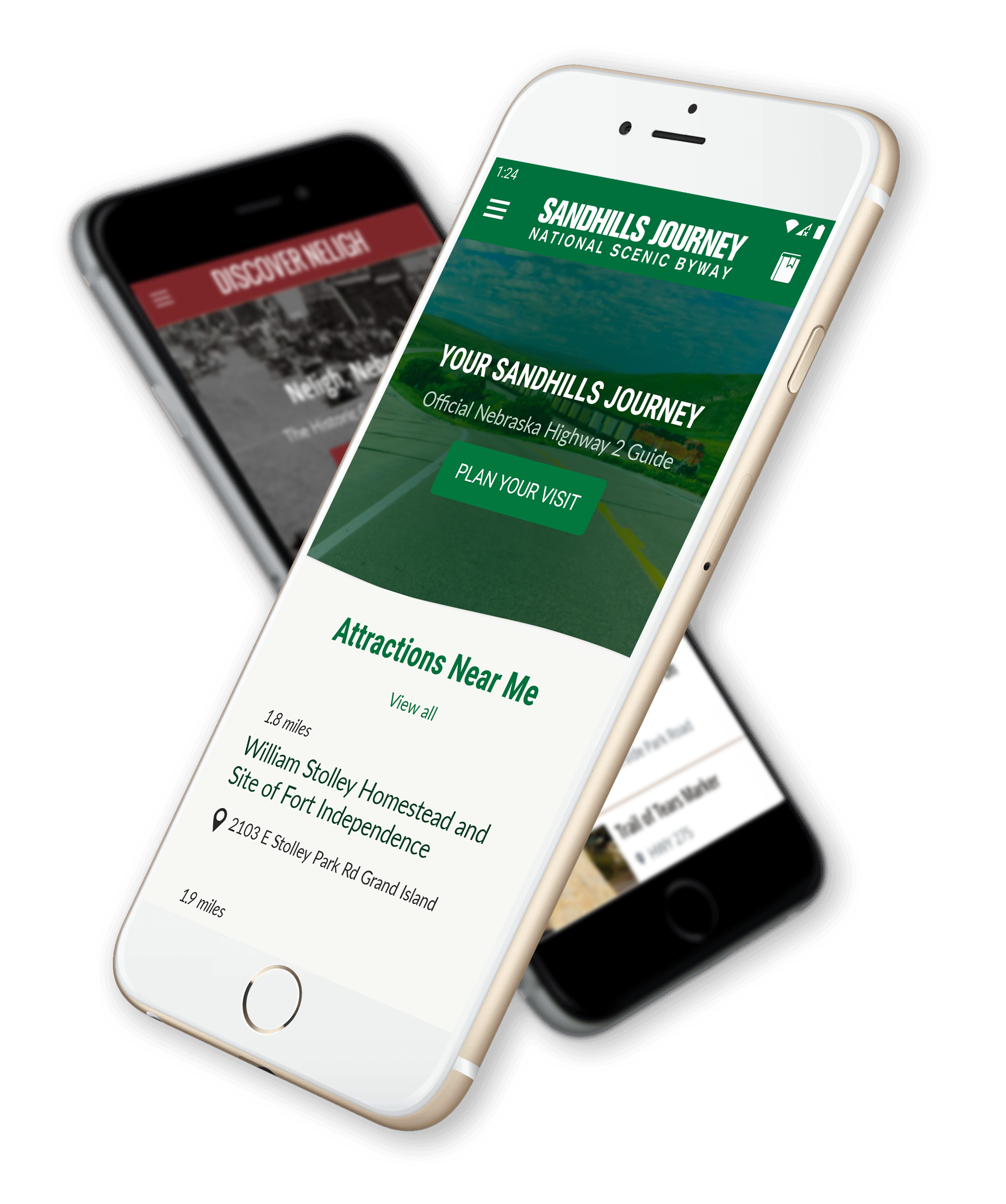 Website Design & App Development