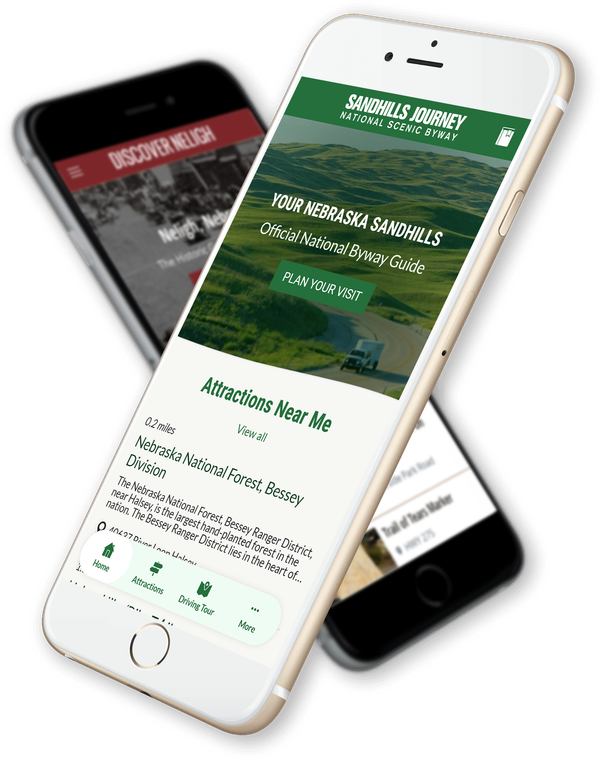 Mobile Phones Displaying Website Design & App Development