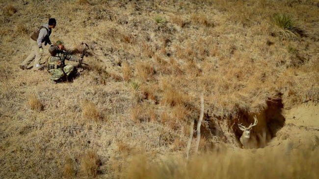 Hunters are stalking a deer