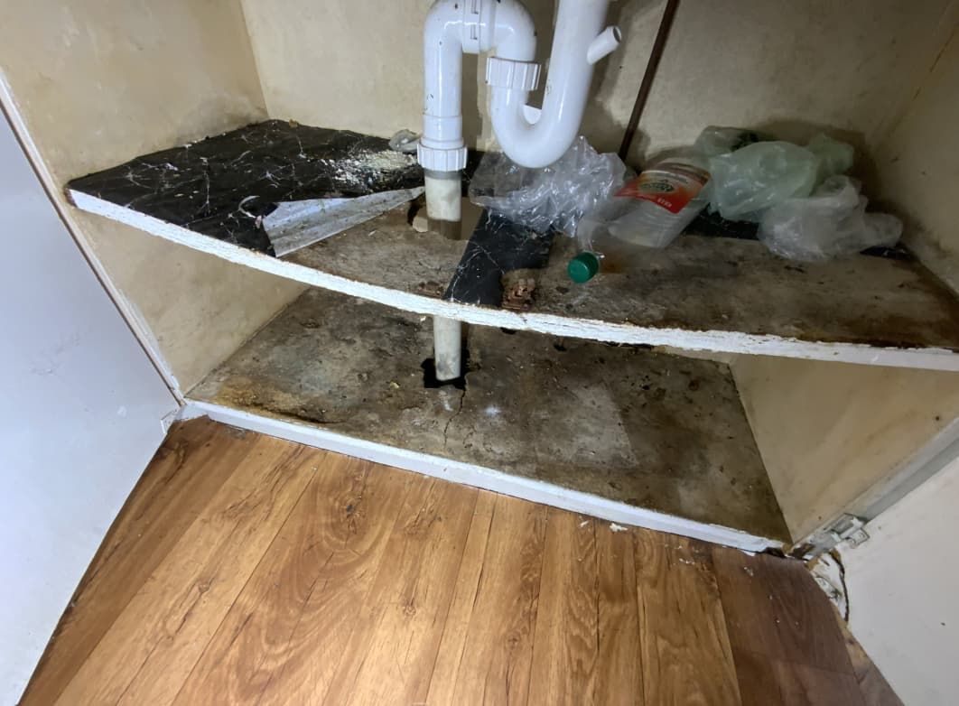 A Sink Is Sitting Under A Cabinet In A Kitchen — Able Building And Pest Inspections In Sawtell, NSW