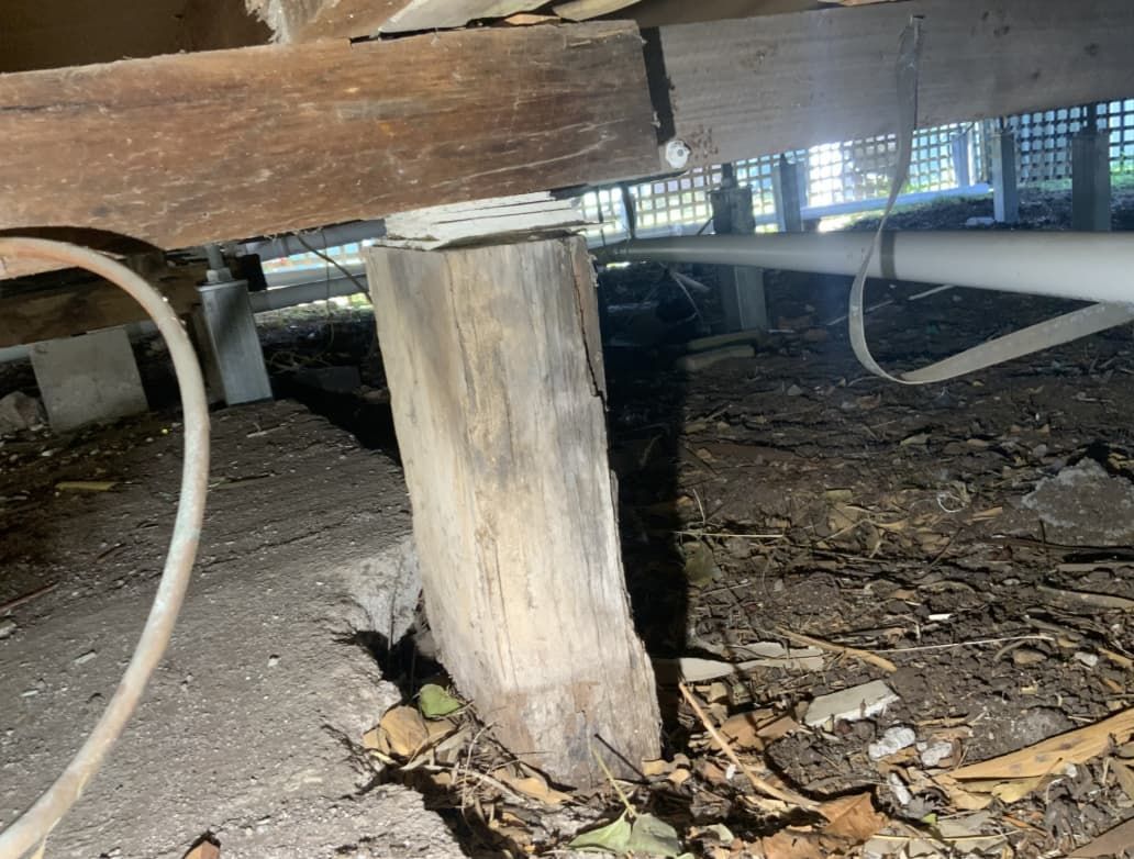 A Close Up Of A Wooden Post Under A House — Able Building and Pest Inspections In Urunga, NSW