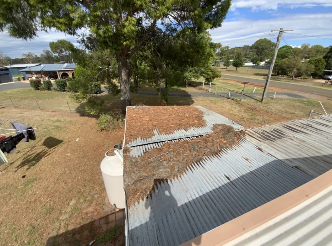A Roof Of A Building With A Tree In The Background — Able Building and Pest Inspections In Grafton, NSW