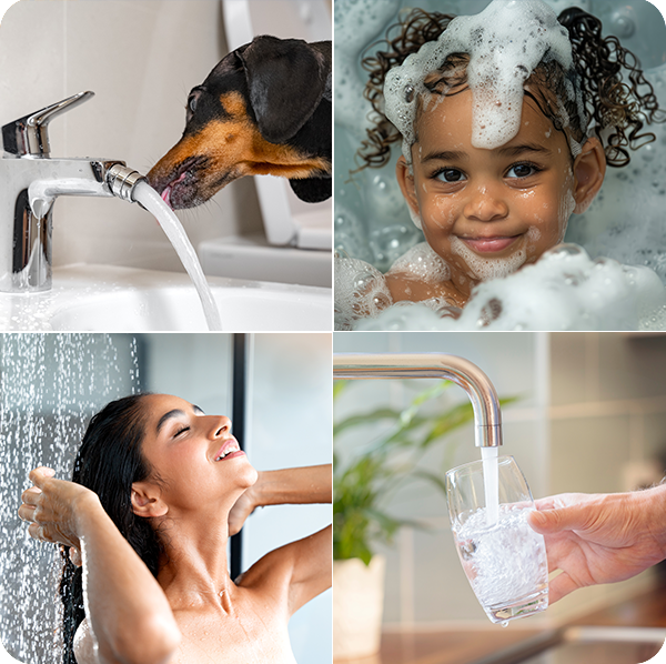 Clockwise from top left: Dog drinking from faucet; child in bubble bath; person filling glass with water; woman showering.