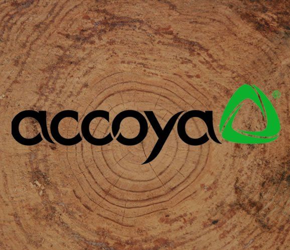legno accoya