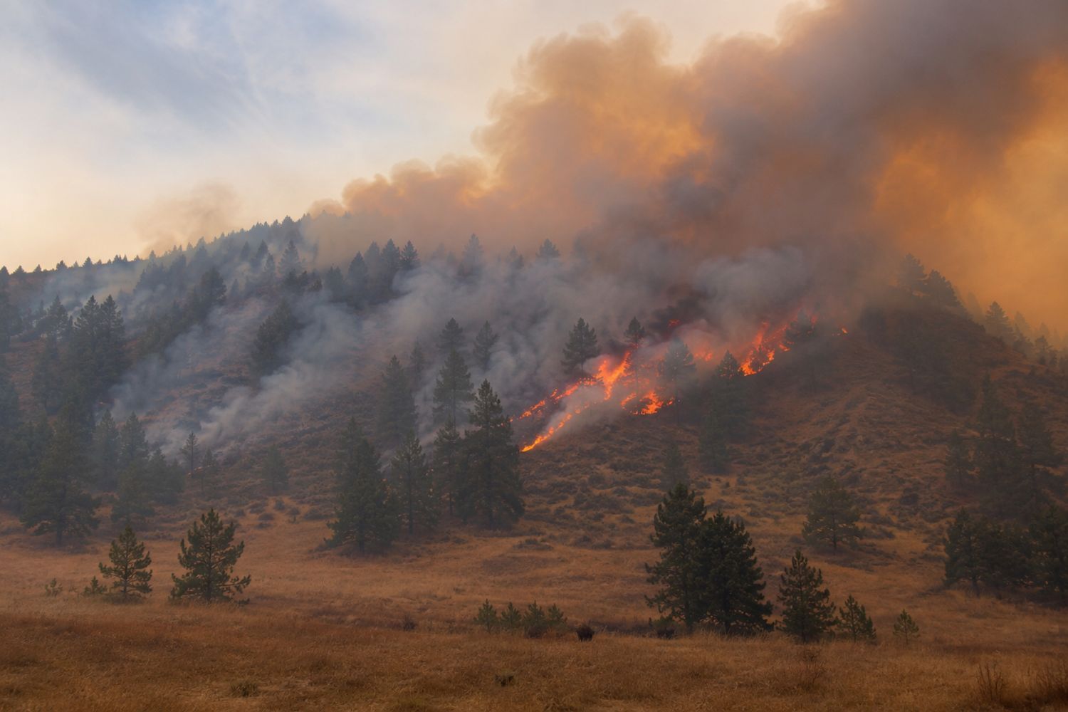 Wildfire Insurance in Colorado: Coverage and the FAIR Plan