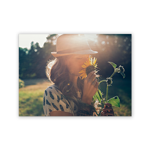 Print på aluplade image