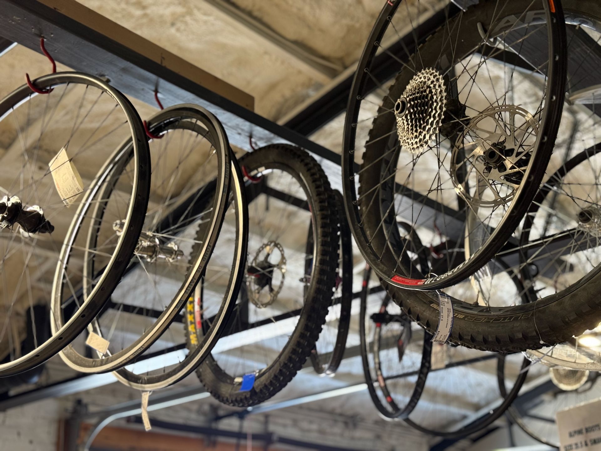 A bunch of bicycle wheels are hanging from the ceiling