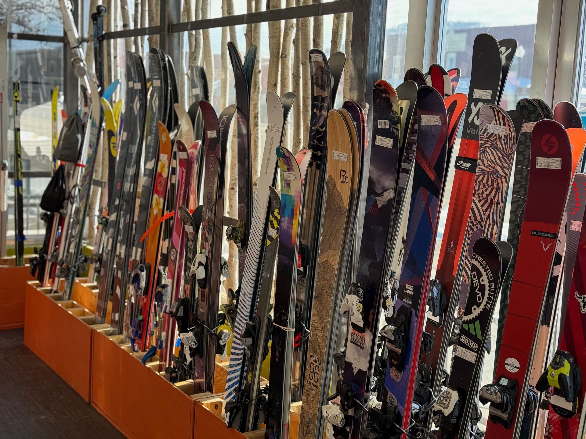 A row of skis and snowboards are lined up on display in a store.