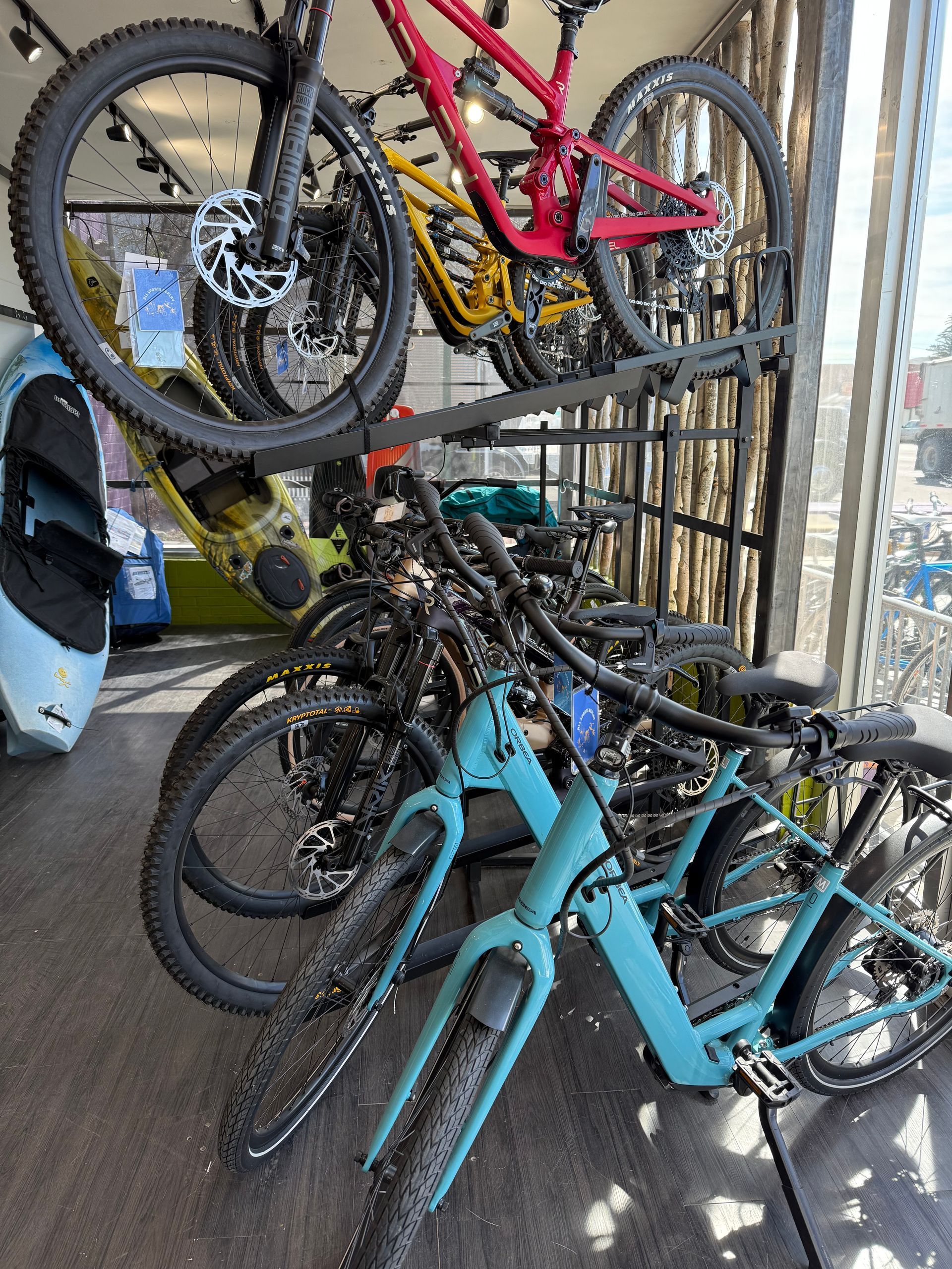 A row of skis and snowboards are lined up on display in a store.