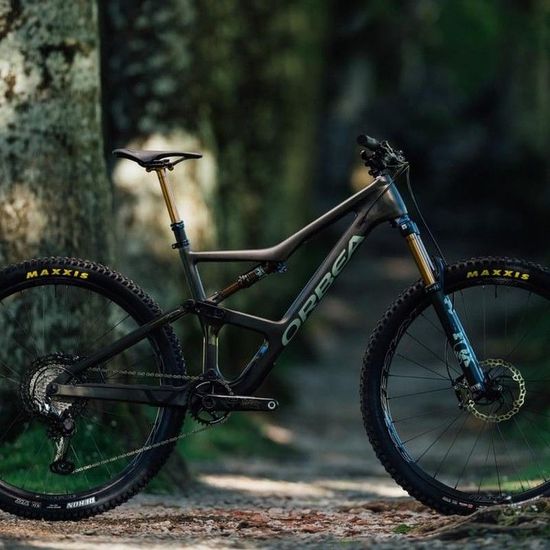 A black mountain bike is parked next to a tree in the woods.