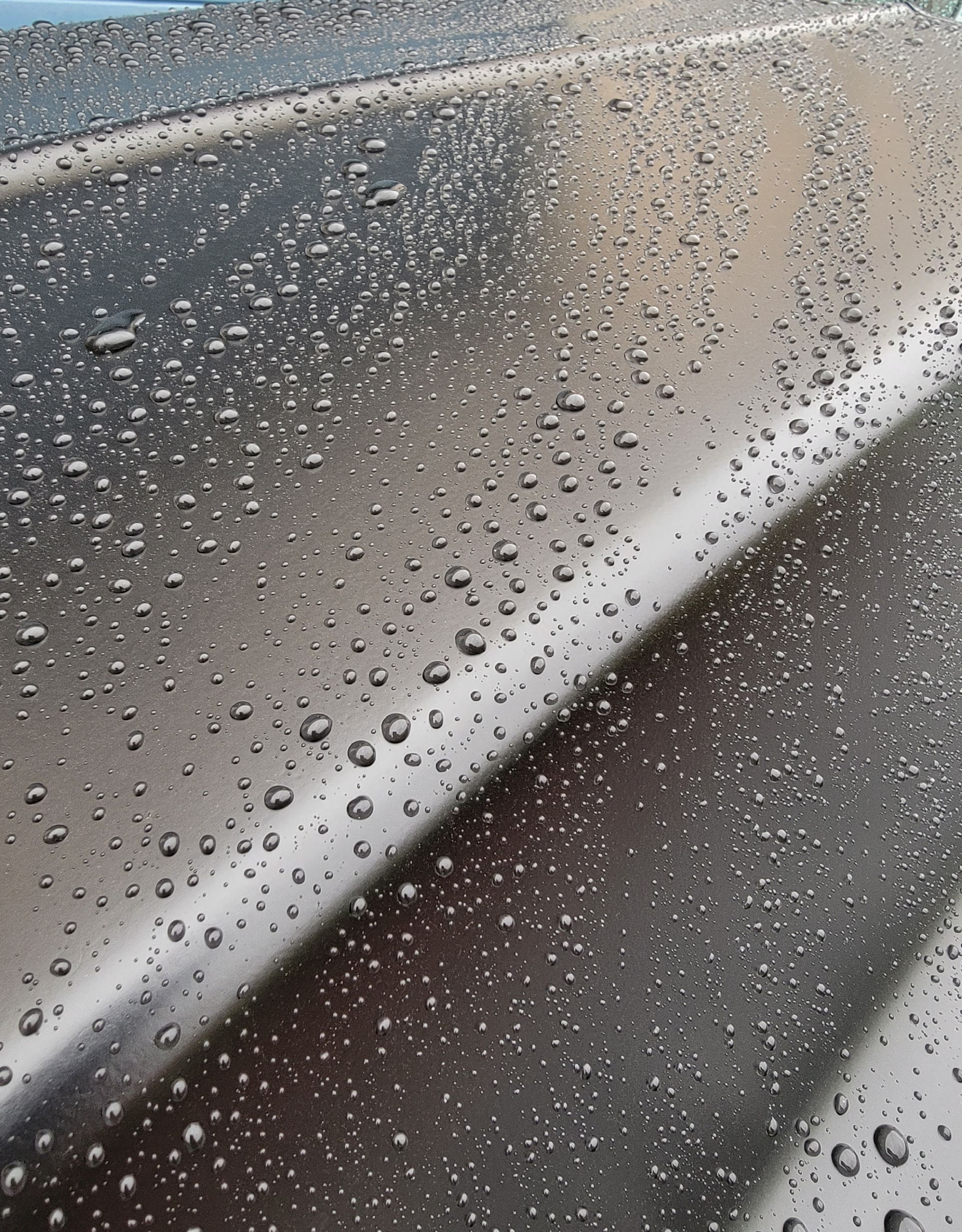 A person is applying a clear film to the hood of a car.