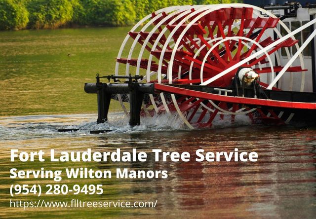 Tree Service Hamilton Ga
