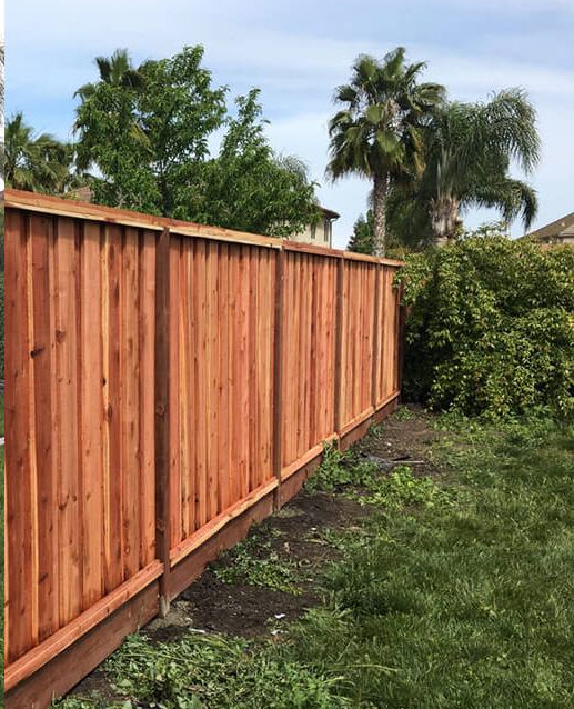 Wooden privacy fence in a backyard, with palm trees and bushes in the background.