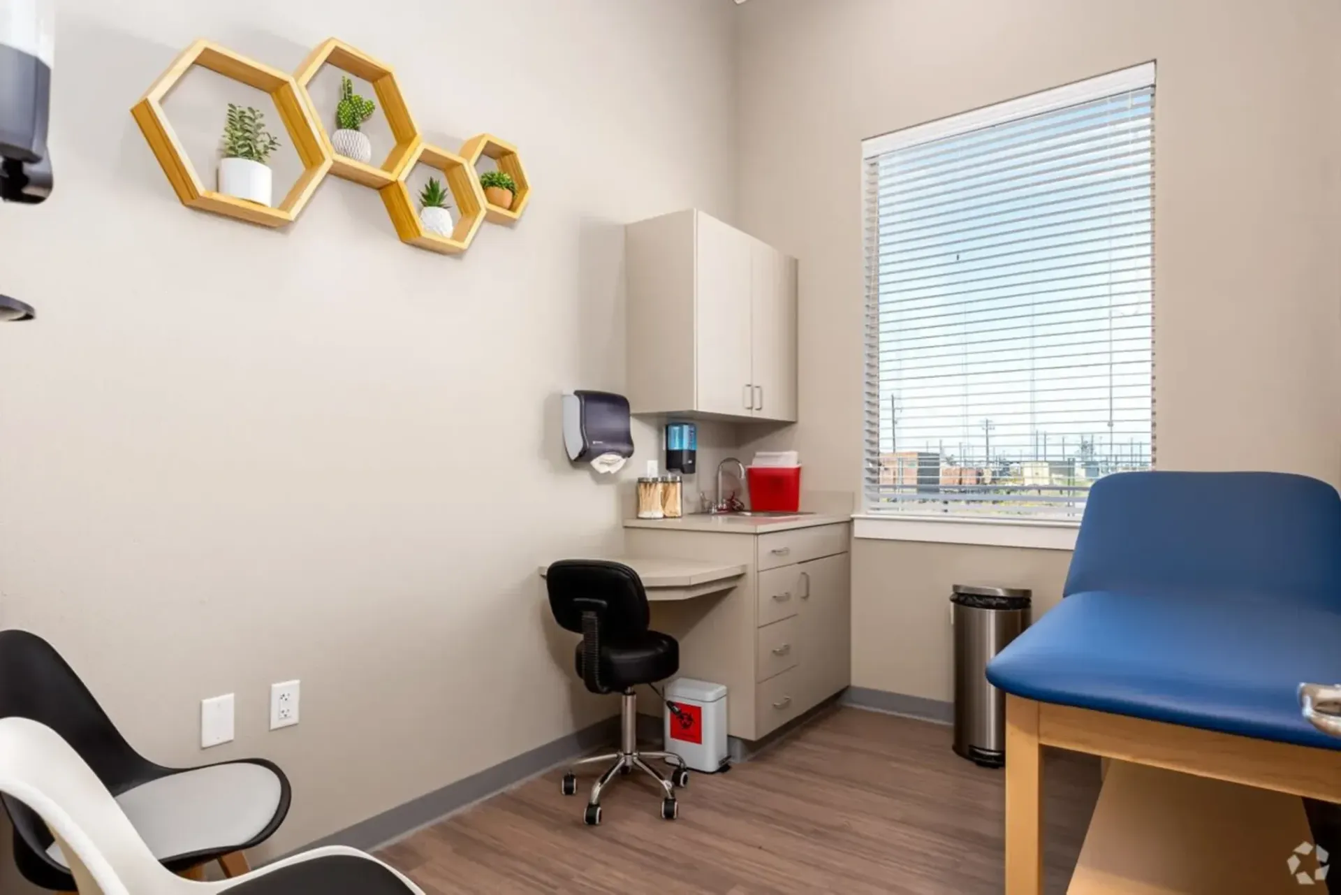 Exam room with a blue exam table, window, and wall-mounted shelves with plants.