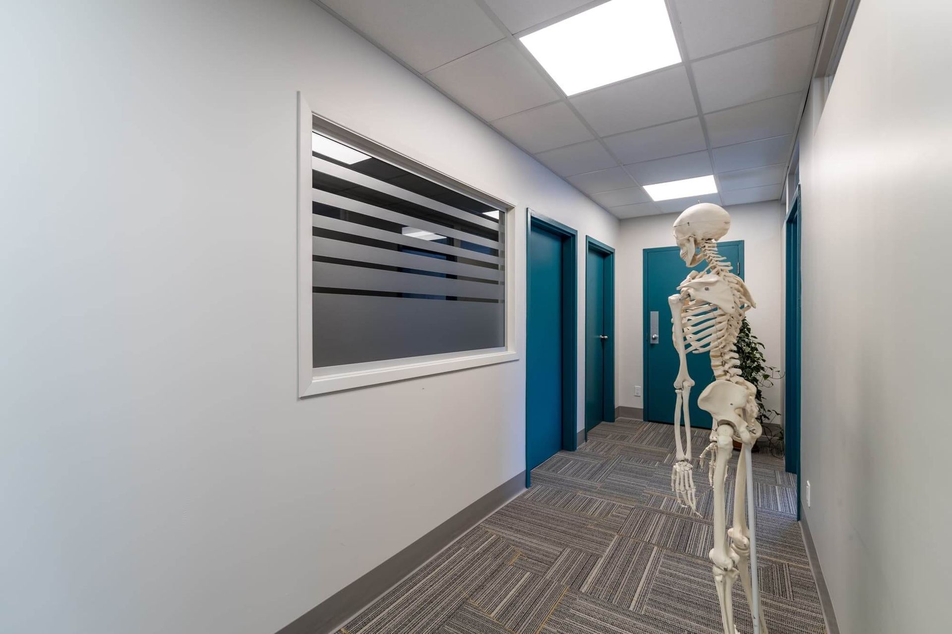 Hallway with a skeleton, teal doors, and a window with frosted glass.