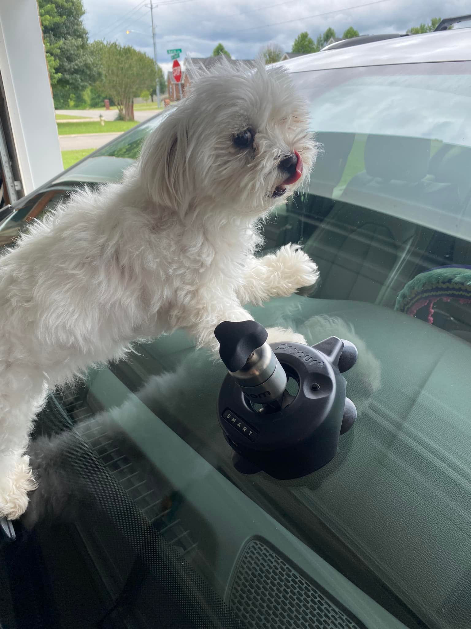 Auto Glass Gallery Murfreesboro, TN Glass Monkey
