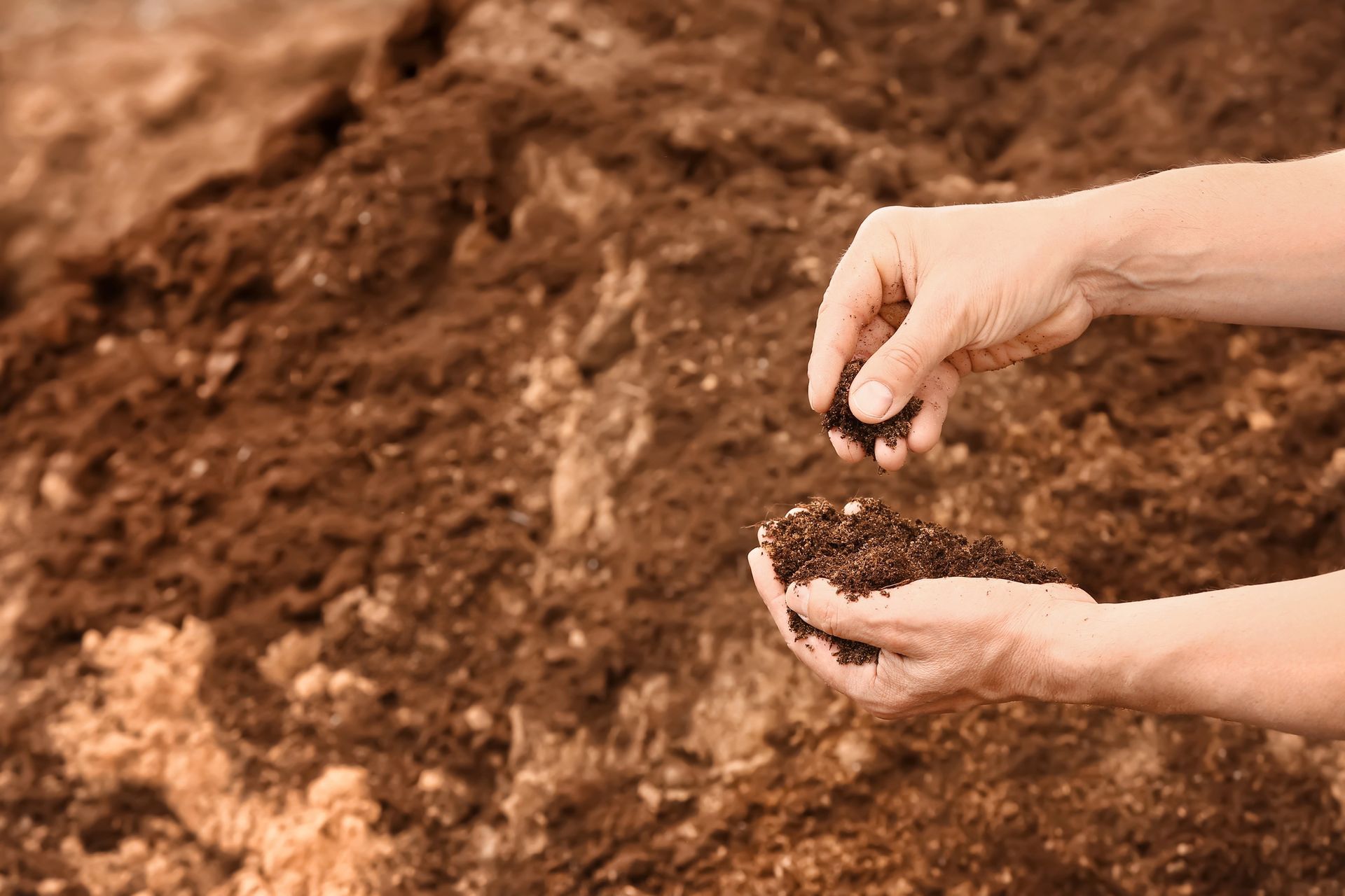 Hands sprinkling dark soil over a garden bed
