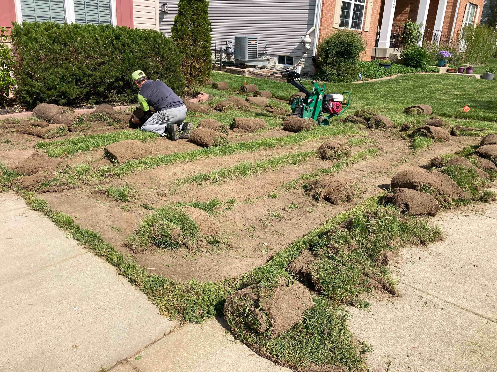 Workers landscaping a front yard with fresh sod rolls beside a sidewalk and house.