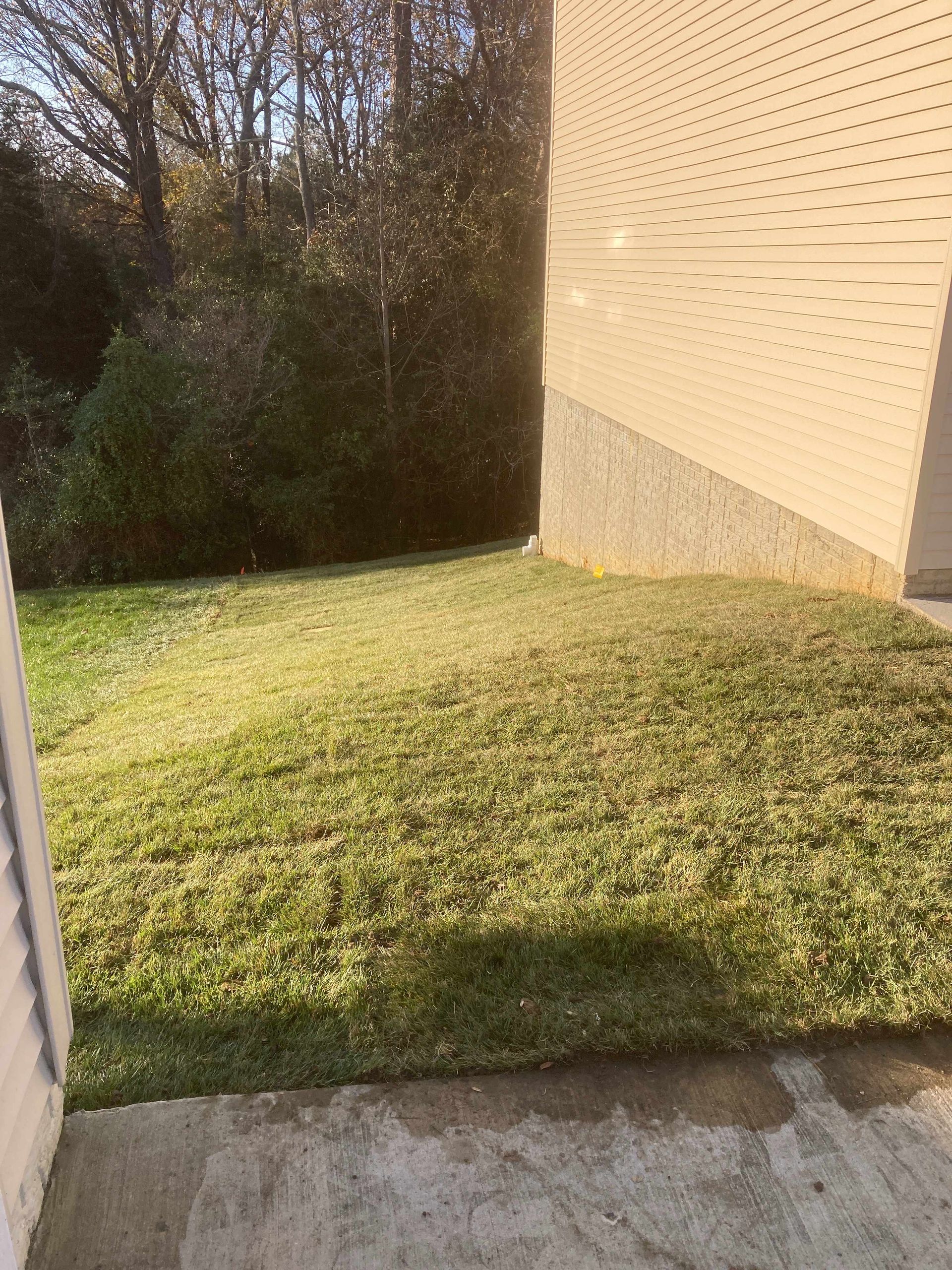 Sunlit grassy yard beside a beige house wall and concrete patio.
