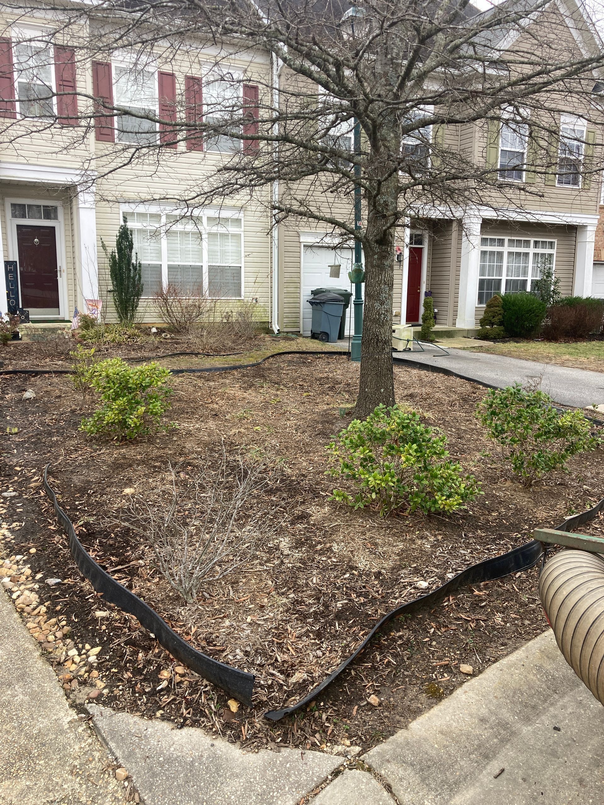 Apartment courtyard with mulched landscaping, small trees, and townhouse fronts with red doors