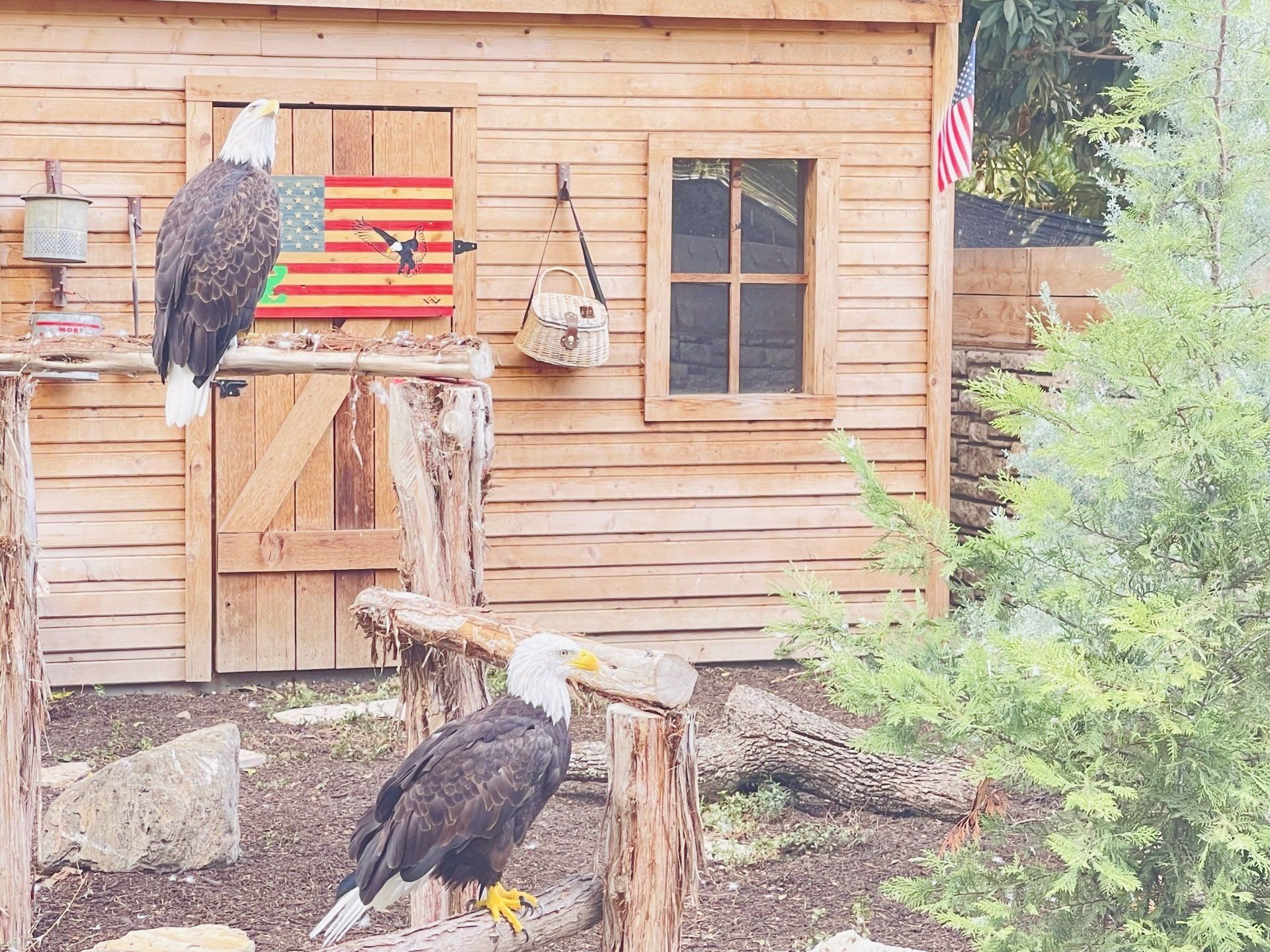 San Antonio Zoo 3903 N St Mary's St, San Antonio, TX 78212 (210) 734-7184