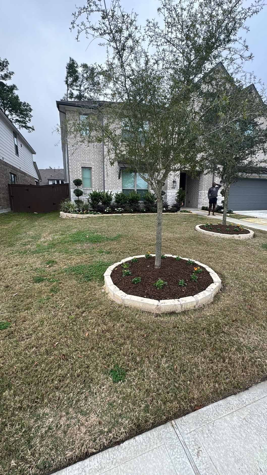 Two trees in circular beds of mulch in front yard of a two-story house.