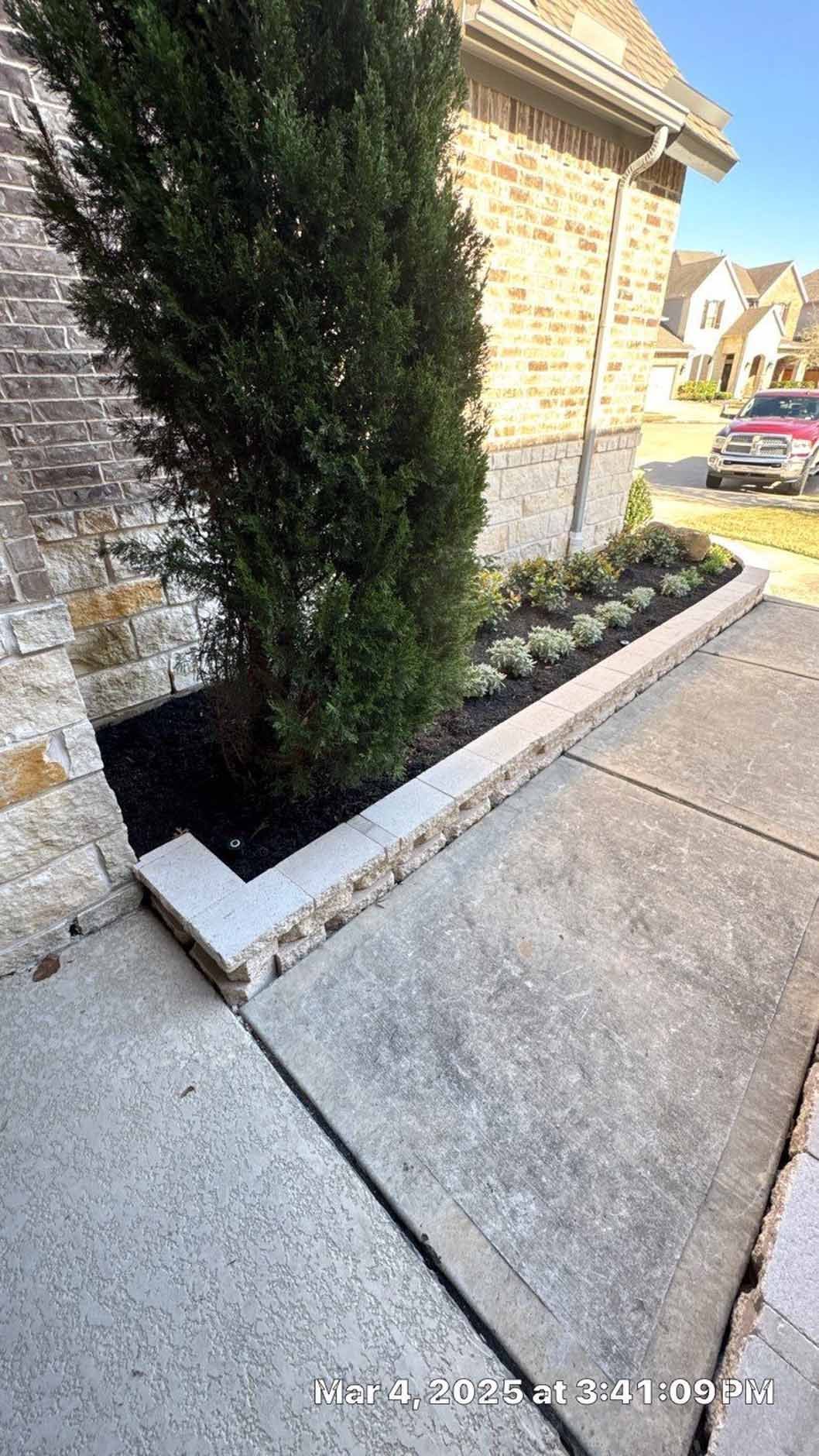 Stone-bordered flower bed with small plants and a tall evergreen next to a brick building and a sidewalk.