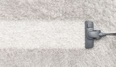 A vacuum cleaner is cleaning a white carpet.