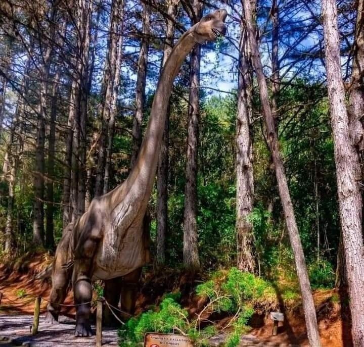 Miguel Pereira Vai Inaugurar O Maior Parque De Dinossauros Do Mundo