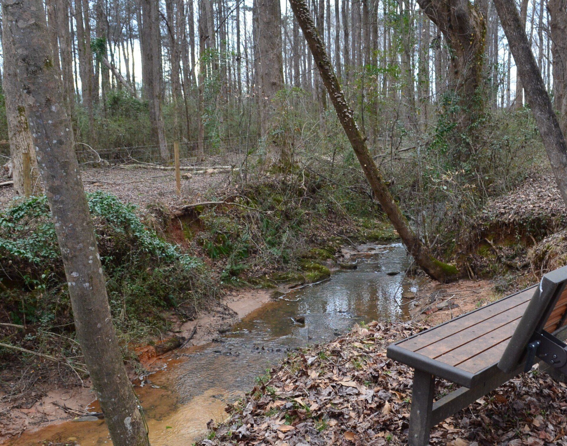 A wooden bench sits next to a stream in the woods