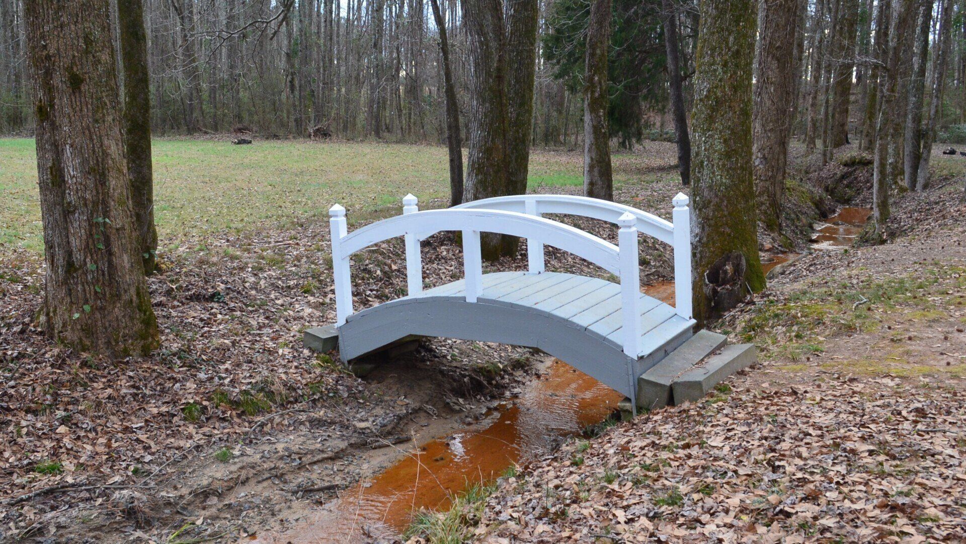 A small white bridge over a stream in the woods