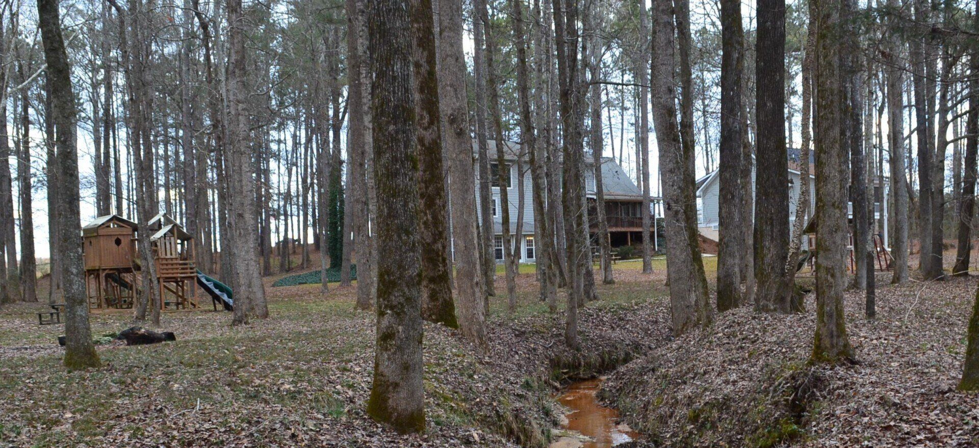 A stream running through a forest with a house in the background