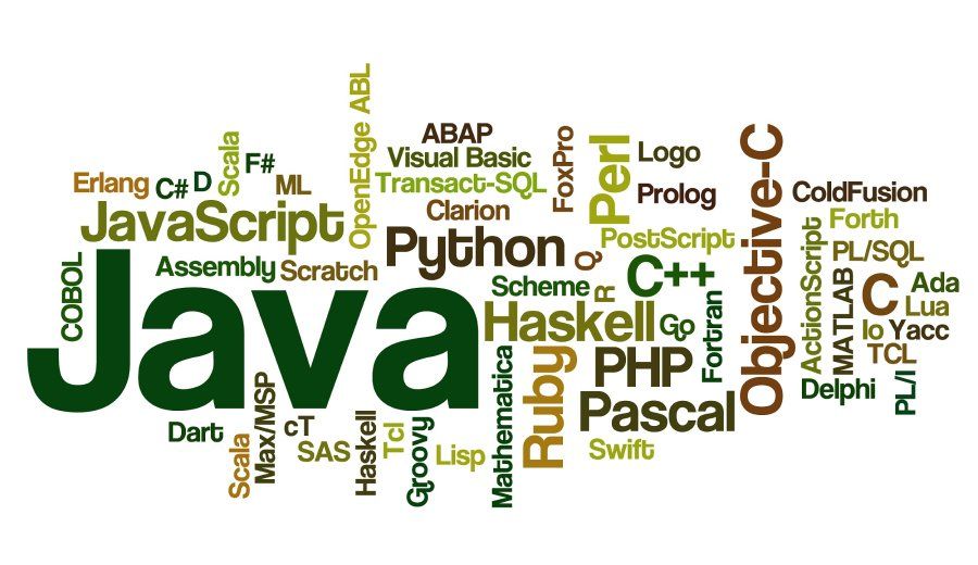 PHP, Python, Ruby, Java... là những ngôn ngữ lập trình backend mà developer có thể sử dụng