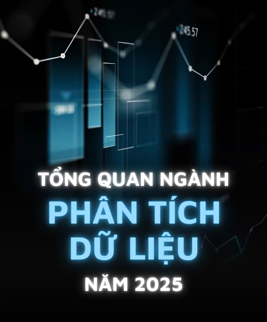 Tổng quan ngành phân tích dữ liệu năm 2025