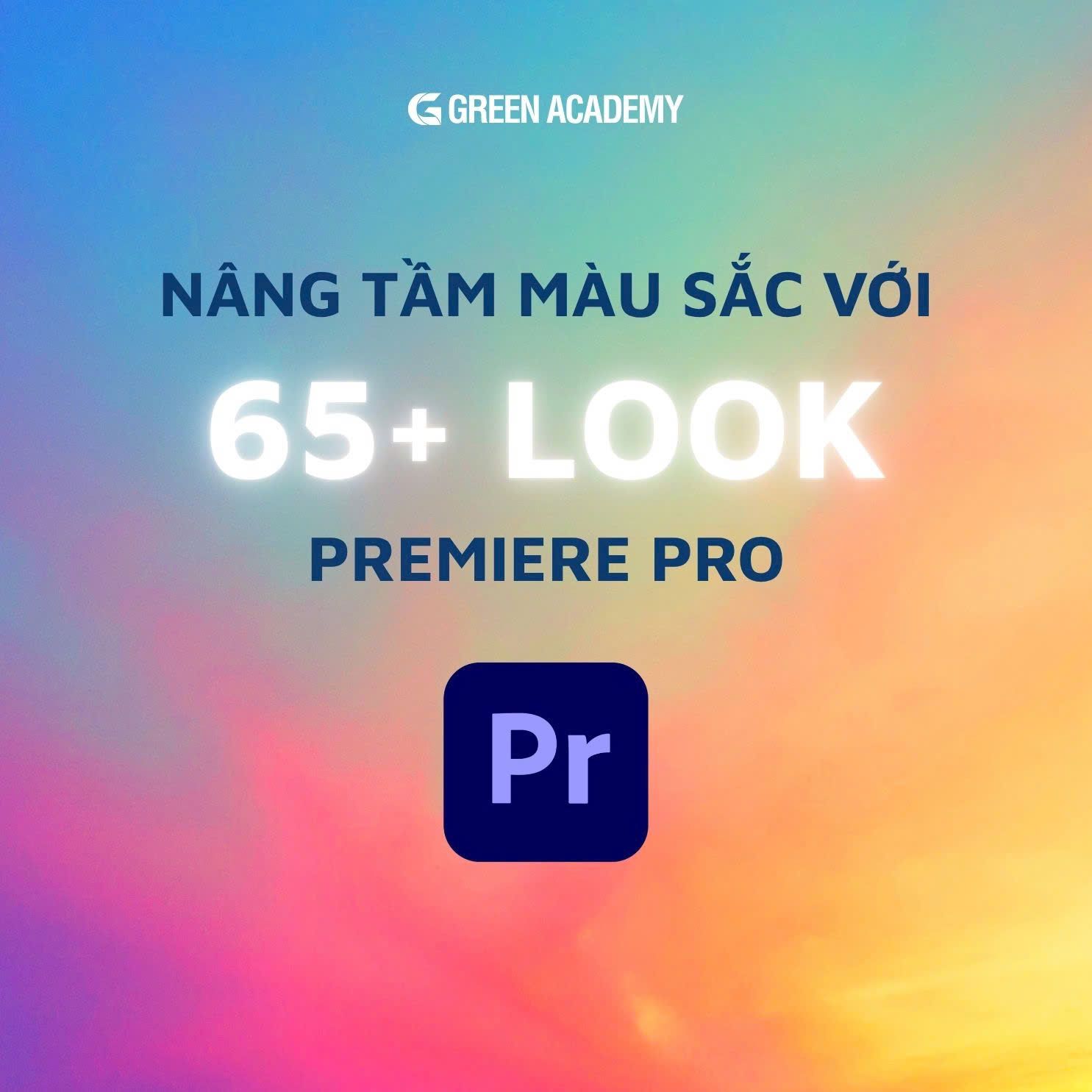 NÂNG TẦM MÀU SẮC VỚI 65+ FILM LOOK LUTs  PREMIERE PRO