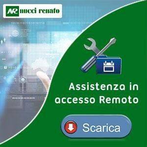 Assistenza in remoto